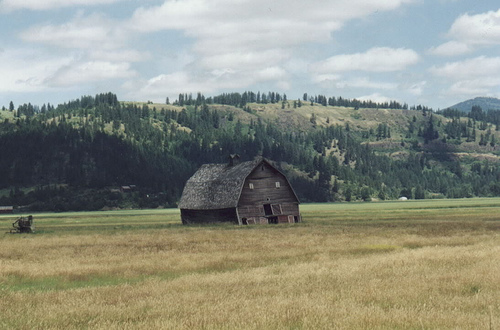 Old Barn outside St. Maries